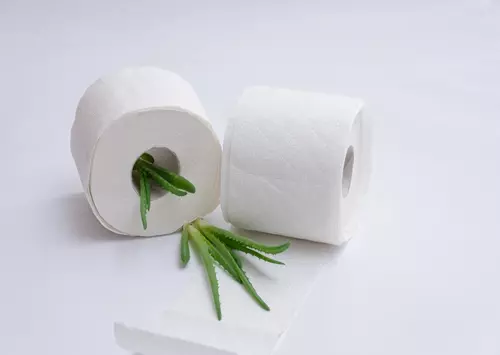 biodegradable toilet paper