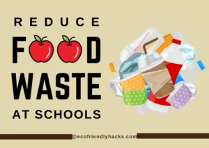How to Reduce food waste in schools